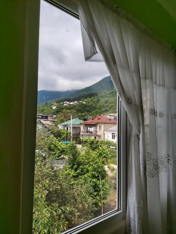 Na Shapsug Guest House Gagra Luaran gambar