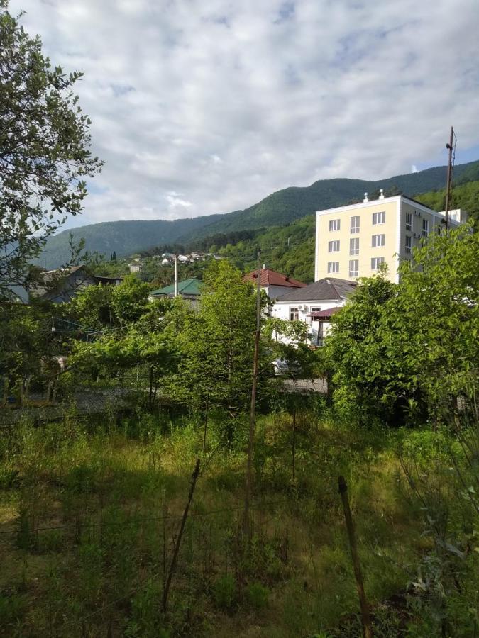 Na Shapsug Guest House Gagra Luaran gambar